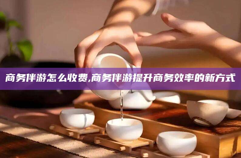 固原商务伴游怎么收费,商务伴游提升商务效率的新方式