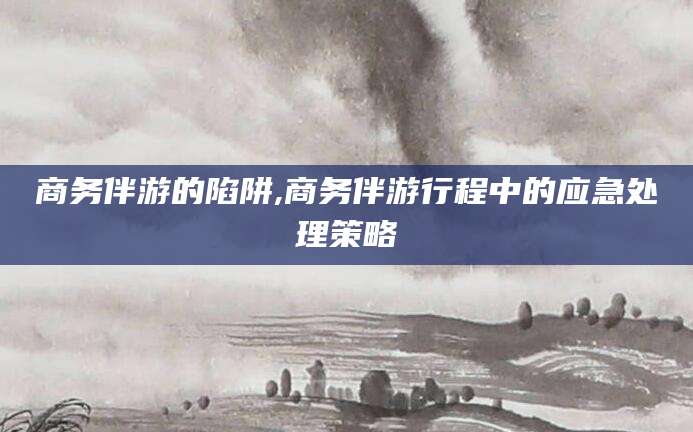 固原商务伴游的陷阱,商务伴游行程中的应急处理策略